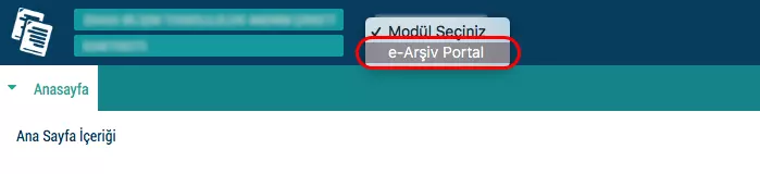 Gib e-arşiv portal seçim