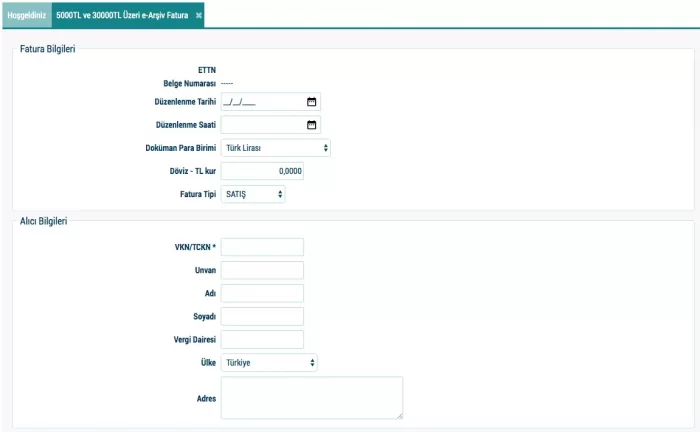gib e-arşiv fatura bilgileri ve alıcı bilgileri ekranı